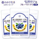 ブルーベリーアイ 小粒 1袋62粒入り 3か月分【わかさ生活】 飲みやすい小粒 ブルーベリー ナノビルベリー ナノルテイン カシス アスタキサンチン ヒアルロン酸 乳酸菌 24種類 ビルベリーエキス160mg アイケア 注目 目のサプリ