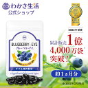 ブルーベリーアイ ひとみの健康 健康成分28種類 1袋31粒入り 約1ヵ月分【わかさ生活公式】ブルーベリー アントシアニン ナノビルベリー サプリメント ナノルテイン カシス アスタキサンチン ヒアルロン酸 乳酸菌配合