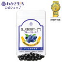 ブルーベリーアイ ひとみの健康 健康成分28種類 1袋31粒入り 約1ヵ月分ブルーベリー アントシアニン ナノビルベリー サプリメント ナノルテイン カシス アスタキサンチン ヒアルロン酸 乳酸菌配合