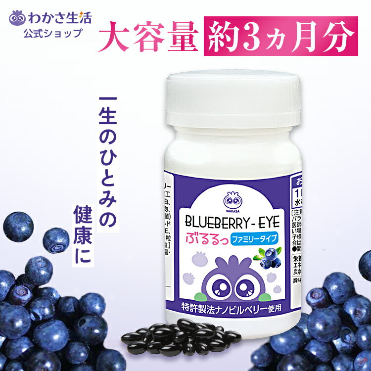 【小林製薬】ブルーベリー ルテイン メグスリノ木 60粒(30日分) 【ルテイン】【メグスリノキ】【栄養補助食品】