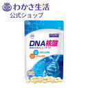 DNA核酸 1袋62粒入り サプリメント  タブレット 健康 DNA コエンザイムQ10 RNA α-リポ酸 ビタミンB6 ビタミンB2 ビタミンB1 葉酸 ビタミンB12