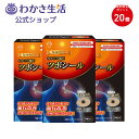 【ポイント20倍・楽天市場店限定特別価格】磁気ツボシール 3箱セット 【 わかさ生活 公式 】磁気シール 磁気 パッチ 首 足 肩こり 腰痛 頭痛 冷え性 血行...