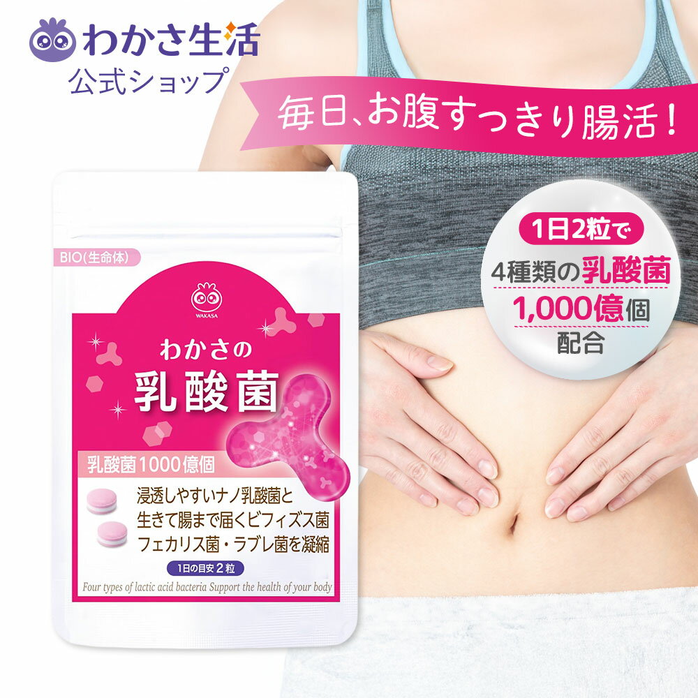 【ポイント5倍】 わかさの乳酸菌 (1袋62粒入り) 【 わかさ生活 公式 】乳酸菌 ビフィズス菌 サプリメン..