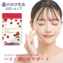 レスベラトロール PRO (プロ) 美容 1袋31粒入り サプリメント サンタベリー由来 トランス・レスベラトロール 内側ケア