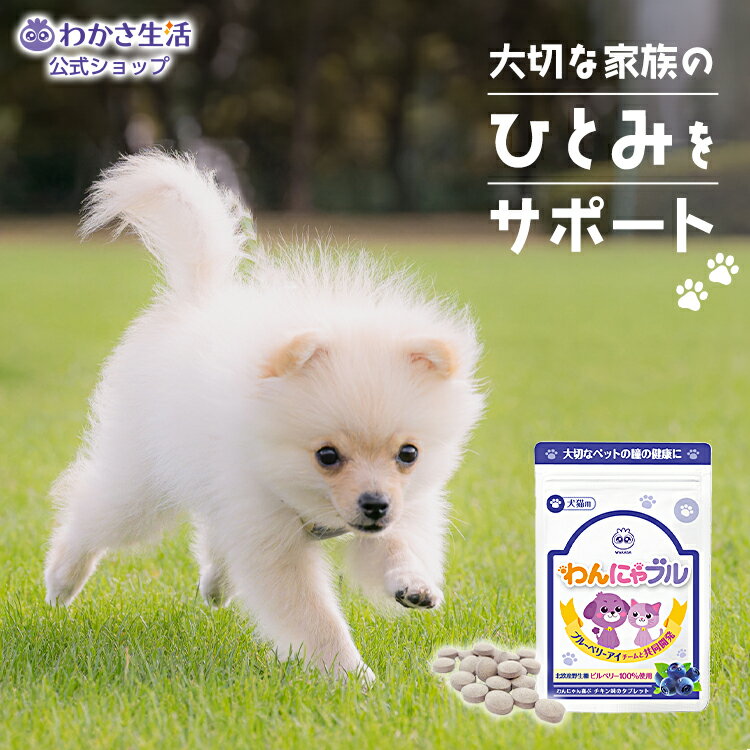 わんにゃブル ひとみサプリ 犬用 猫用 チキン味 1袋62粒入り タブレット 【わかさ生活公式】のサムネイル