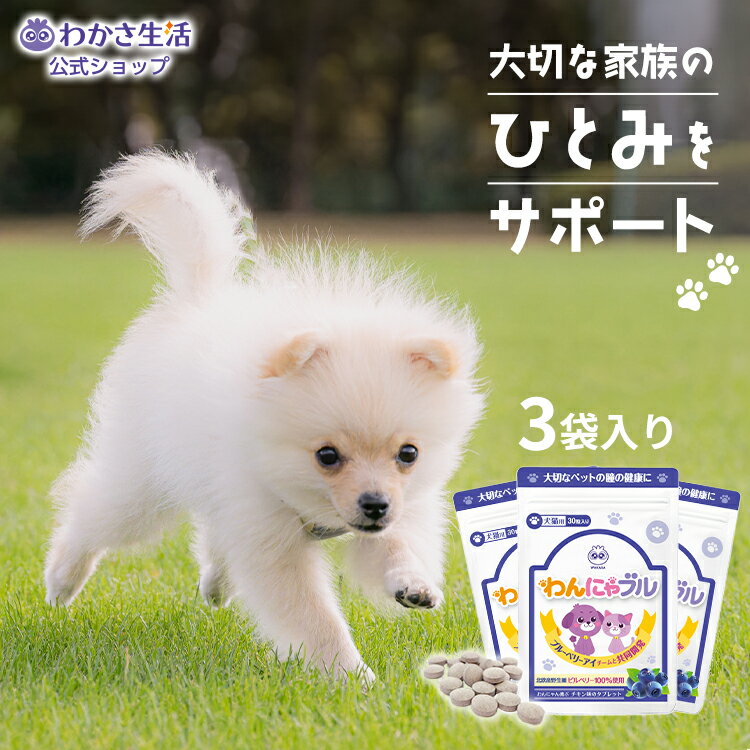 わんにゃブル ひとみサプリ 犬用 猫用 チキン味 1袋62粒入り タブレット 