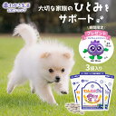 【ポイント10倍・期間限定ノベルティ】 わんにゃブル 3袋セット【 わかさ生活 公式 】 犬 犬用 サプリ サプリメント ひとみサプリ 猫用 ブルーベリー ビル...