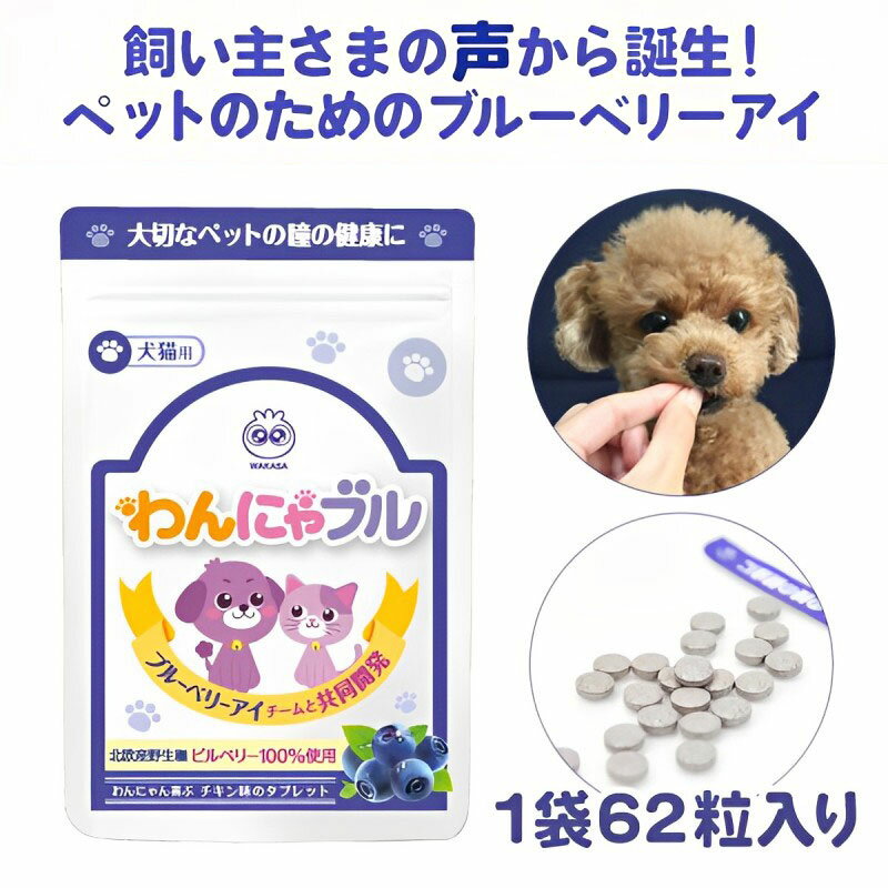 わんにゃブル ひとみサプリ 犬用 猫用 チキン味 1袋62粒入り タブレット ブルーベリー 