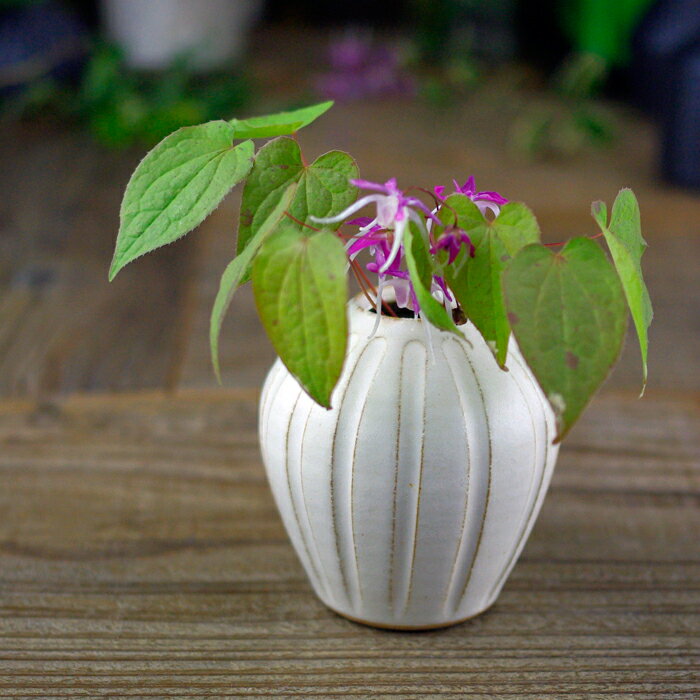 徳利型 一輪挿し 一輪差し 益子焼 フラワーベース 陶器製 花器 花瓶 焼きもの 日本製 和風 モダン ベース おしゃれ インテリア 書斎 玄関 トイレ ニッチ わかさま陶芸 母の日 ギフト プレゼントお家カフェ