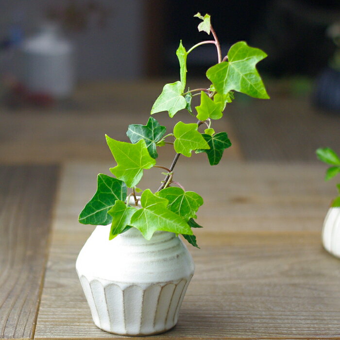 食卓における一輪挿しができるおしゃれな花器のおすすめは？