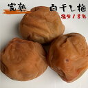 梅干し 白干し 塩分18% 福井梅 紅映 無添加 すっぱい梅干し 完熟梅 内容量 410g