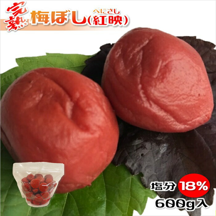 梅干し 福井梅 紅映 無添加 すっぱい梅干し 完熟梅 塩分18% 内容量 600g