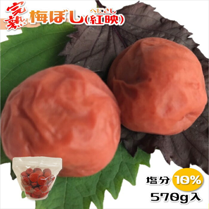 梅干し 福井梅 紅映 無添加 すっぱい梅干し 完熟梅 減塩 塩分控えめ10% 内容量 570g