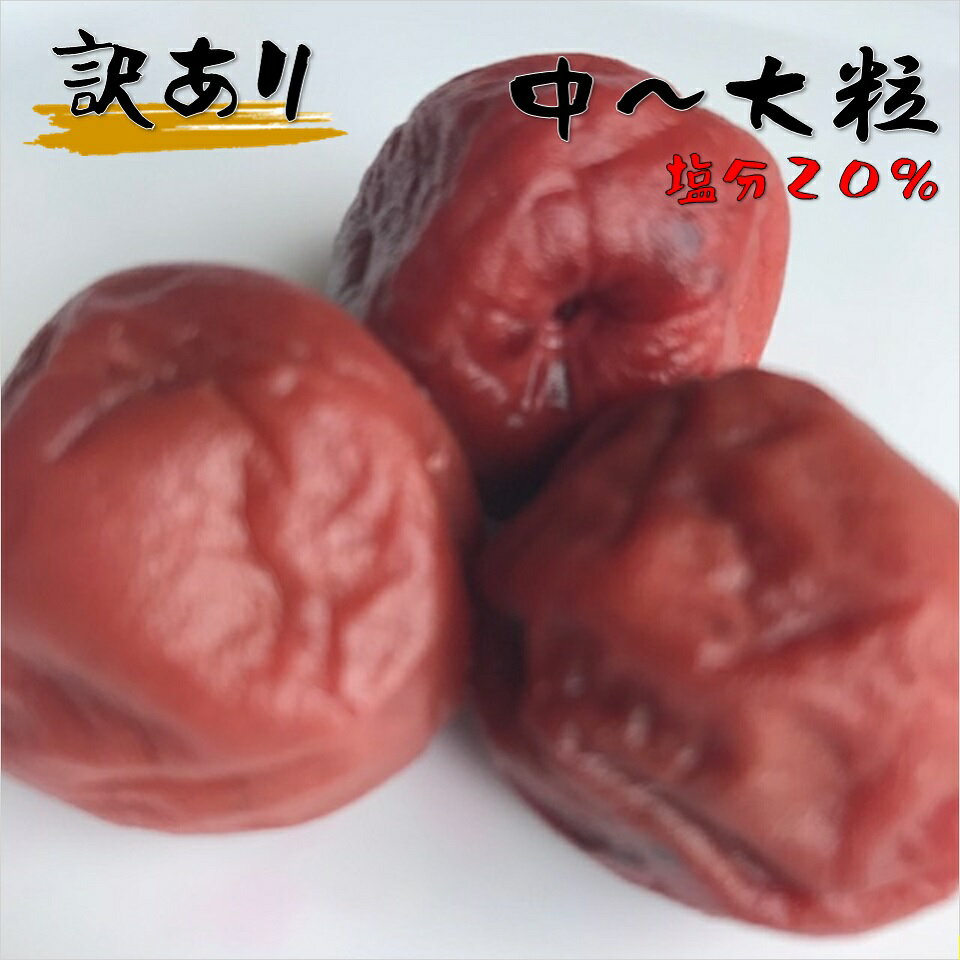 梅干し 塩分20% 訳あり 規格外品 福井梅 無添加 すっぱい梅干し 内容量550g