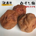 梅干し 白干し 塩分20% 白梅ぼし 訳あり 規格外品 福井梅 無添加 すっぱい梅干し 内容量500g