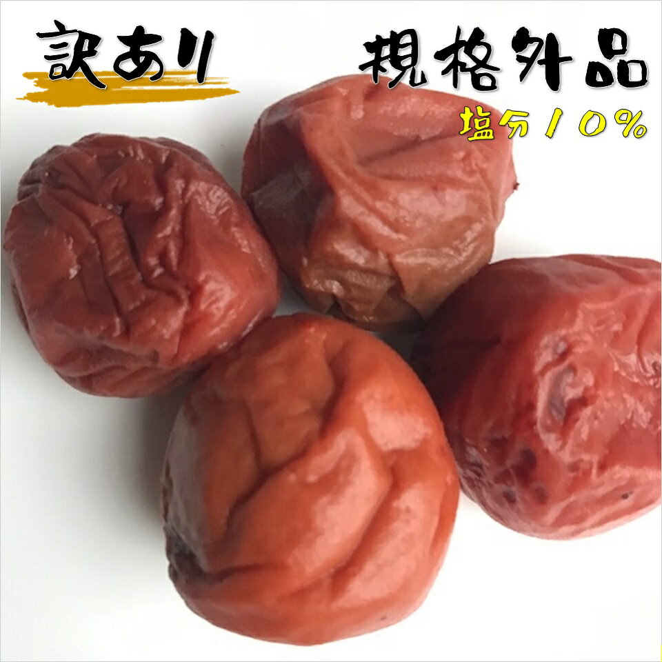 ~ 󂠂 KiOi 10% ~ Y  ς~ e500g