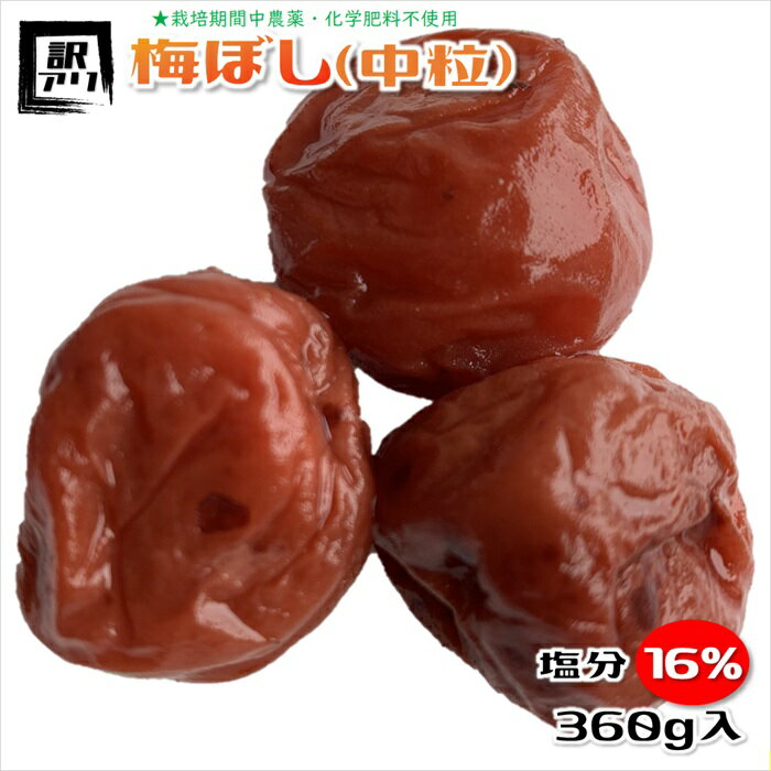 梅干し 無農薬 訳あり 中粒 塩分16% 福井梅 無添加 すっぱい梅干し 内容量360g