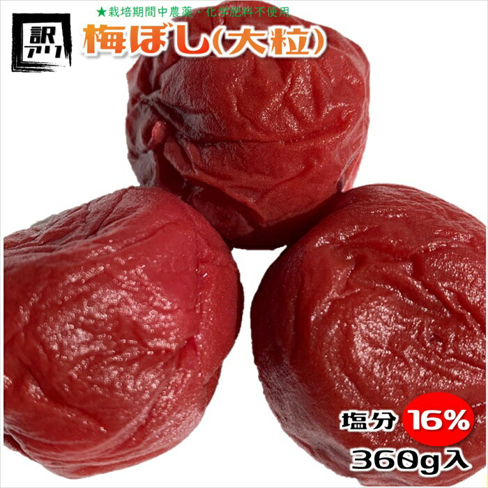 梅干し 無農薬 訳あり 大粒 塩分16% 福井梅 無添加 すっぱい梅干し 内容量360g