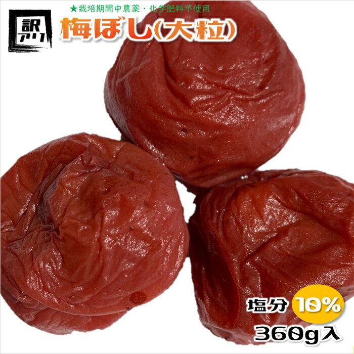 梅干し 無農薬 訳あり 大粒 塩分10% 福井梅 無添加 減塩 すっぱい梅干し 内容量360g