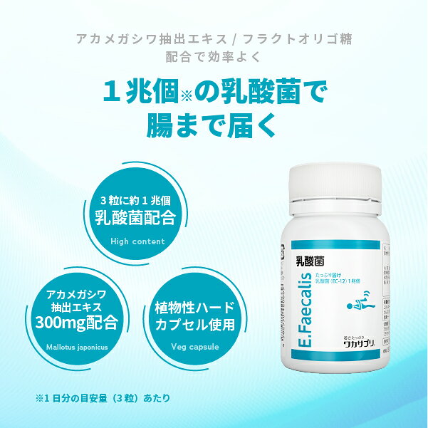 【公式】ワカサプリ 乳酸菌 90粒 サプリ サプリメント 腸活 菌活 善玉菌 オリゴ糖 フラクトオリゴ糖 植物性乳酸菌 体内環境 日本製 国内製造 体内フローラケア 栄養補助食品 健康食品 男性 女性 スッキリ ダイエット wakasapri-10000012 ワカサプリ公式 楽天市場店 サンプル画像3