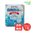 【05/01限定クーポンあり!】 ぷるるるん乳酸菌グランドゼリーα ヨーグルト味 人由来の乳酸菌 乳酸菌FK-23 エンテロコッカスフェカリスFK-23 LFK...