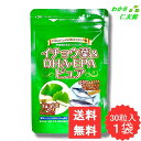 【05/01限定クーポンあり!】 イチョウ葉&DHA・EPAピュア ( イチョウ葉 DHA EPA ) 30粒
