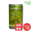 【05/01限定クーポンあり!】 イチョウ葉エキス80 ヨーロッパリニア社抽出エキス使用「イチョウ葉エキスG24E」規格