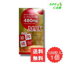 ヒアルロンピュアMAX 低分子・高純度ヒアルロン酸480mg