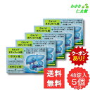 【07/19 20時〜24時限定クーポンあり!】 ロダン胃腸薬S錠 48錠 【第3類医薬品】 5個セット 胃腸薬 胃薬 ウルソデオキシコール 食欲不振 膨満感 ...