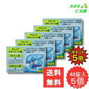 【07/20限定P5倍!】 ロダン胃腸薬S錠 48錠 【第3類医薬品】 5個セット 胃腸薬 胃薬 ウルソデオキシコール 食欲不振 膨満感 消化不良 胃弱 食べ過...