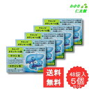 ロダン胃腸薬S錠 48錠 【第3類医薬品】 5個セット 胃腸薬 胃薬 ウルソデオキシコール 食欲不振 膨満感 消化不良 胃弱 食べ過ぎ 飲み過ぎ 胸やけ もたれ...