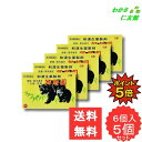 【07/20限定P5倍!】 熊膽圓 6個 【第3類医薬品】 5個セット ゆうたん くまのい 熊胆 熊の胆 胃腸薬 胃薬 第一薬品工業 食欲不振 膨満感 消化不良...