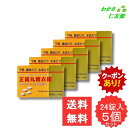 【07/22限定クーポンあり!】 ニッシン正露丸糖衣錠 24錠 【第2類医薬品】 5個セット 正露丸 糖衣錠 下痢 消化不良による下痢 食あたり はき下し 水あ...