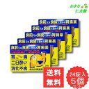 新内外胃腸薬「錠剤」 24錠 【第2類医薬品】 5個セット 胃腸薬 ウルソデオキシコール 胃酸過多 胸やけ 胃部不快感 飲み過ぎ 胃痛 食欲不振 消化不良 胃弱...