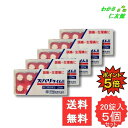 【07/30限定P5倍!】 ズバリタイムII 20錠 【指定第2類医薬品】 5個セット 解熱鎮痛薬 アセトアミノフェン アセトアミノフェン 頭痛 歯痛 神経痛 ...
