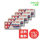 ズバリタイムII 20錠 【指定第2類医薬品】 5個セット 解熱鎮痛薬 アセトアミノフェン アセトアミノフェン 頭痛 歯痛 神経痛 月経痛 咽喉痛 耳痛 関節痛...