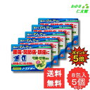 【07/20限定P5倍!】 ノーエチW顆粒 8包 【指定第2類医薬品】 5個セット 腰痛 関節痛 筋肉痛 肩こり痛 神経痛 打撲痛 骨折痛 ねんざ痛 頭痛 歯痛...