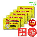 【07/19 20時~24時限定クーポンあり!】 温感シートハップ 6枚 【第3類医薬品】 5個セット 外用鎮痛消炎薬 湿布薬 腰痛 肩こり 関節痛 打撲 捻挫 筋肉痛 骨折痛 しもやけ 筋肉疲労