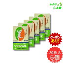 【07/19 20時~24時限定クーポンあり!】 ワイドパスE 20枚 【第3類医薬品】 5個セット 外用鎮痛消炎薬 腰痛 打撲 うちみ 捻挫 肩こり 関節痛 筋肉痛 筋肉疲労