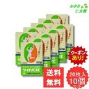【07/19 20時~24時限定クーポンあり!】 ワイドパスE 20枚 【第3類医薬品】 10個セット 外用鎮痛消炎薬 腰痛 打撲 うちみ 捻挫 肩こり 関節痛 筋肉痛 筋肉疲労