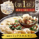 博多若杉 牛もつ鍋セット(4〜5人前) 国産牛モツ 送料無料【2セット以上おまけ】 c1 ちゃんぽん麺付き モツ鍋 お取り寄せ ギフト プレゼント 贈り物 誕生...