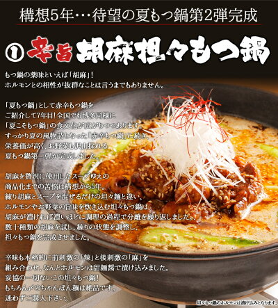 博多若杉牛もつ鍋セット(2人前)【2セット以上でおまけ付き】【wakaba】お取り寄せ鍋【532P16Jul16】
