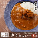 博多若杉豚うまカレー/野菜の甘みがうれしいポークカレー／レト...