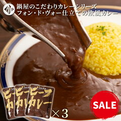 https://thumbnail.image.rakuten.co.jp/@0_mall/wakasugi/cabinet/beefcurry/imgrc0095748959.jpg