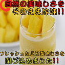 《IQF冷凍カットフルーツ》 ゴールデン パイン アップル チャンク 500g 3袋入り 【冷凍 食品 フルーツ 新鮮 使い切り 便利 健康 美容 スムージー ...