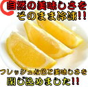 《冷凍 簡単 便利 新鮮》 カット レモン 500g 3袋入り 【冷凍 食品 檸檬 れもん フルーツ 新鮮 使い切り 便利 健康 美容 スムージー 業務用 レモ...