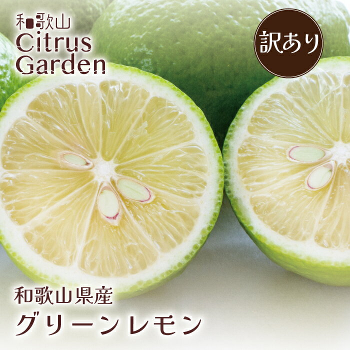 【 選べる内容量 】訳あり 国産 レモン 和歌山県産期間限定 今だけのフレッシュな香りグリーンレモン 国産レモン レモン果汁ノーワックス 防腐剤不使用 皮ごと食べられる フルーツ 果物 ギフト プレゼント お取り寄せ2kg 4kg 送料無料のサムネイル