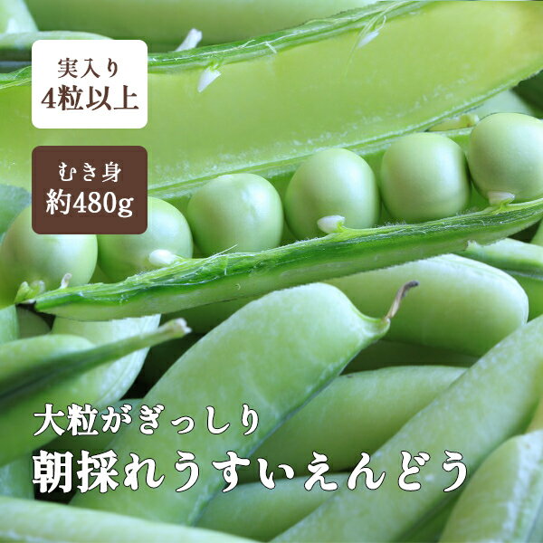 うすいえんどう豆 紀州うすい 1kg L級 秀品 和歌山 朝採れウスイエンドウ 温室栽培 袋入り 送 ...