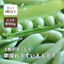 紀州・和歌山 ”うすいえんどう” 秀品 約3kg バラ詰め【予約 3月中下旬以降】 送料無料