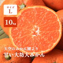 越冬みかん 10kg L玉 高糖度 和歌山 箱買い 甘い大坊越冬大ミカン 紀南みかん 早生 送料無料